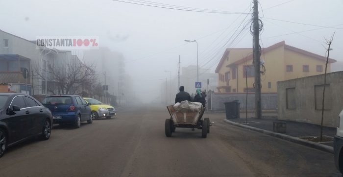 VIDEO. Constanța are un serviciu paralel de salubritate! Oameni cu căruțe îți iau din fața casei gunoiul pentru PET-uri