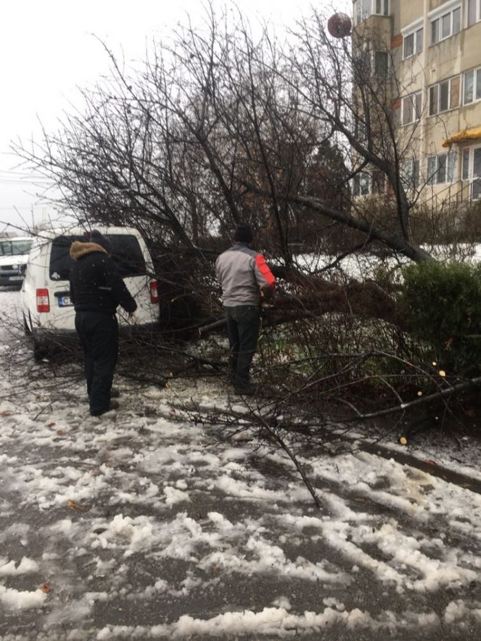 Primăria Constanța spune că monitorizează în permanență situația de pe străzi