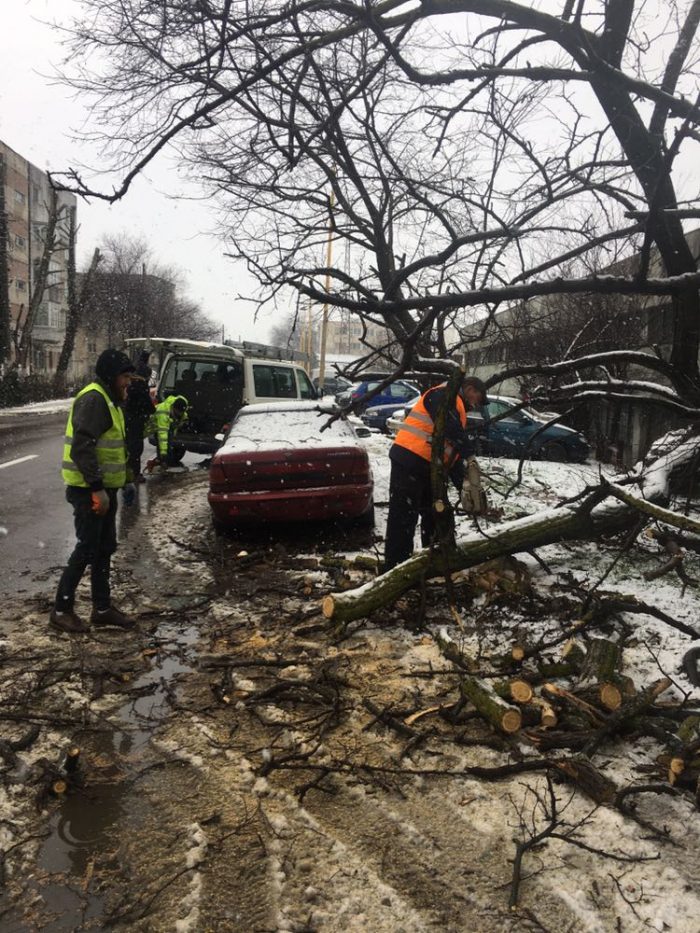 Constanța. Peste 20 de copaci rupți de furtună și stâlpi dărâmați. Codul de vânt, prelungit