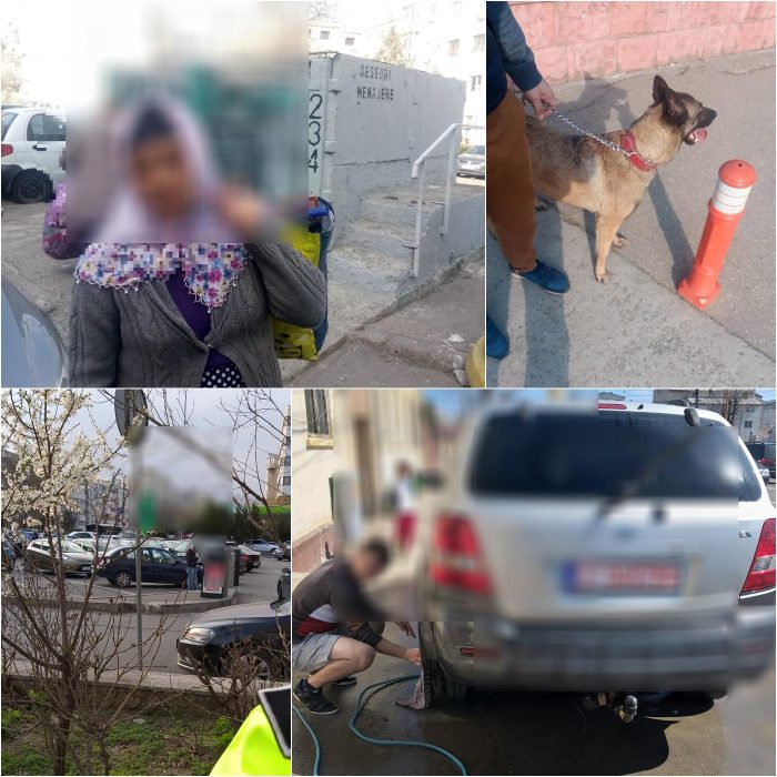 Poliția Locală Constanța a dat, ieri, 256 de amenzi