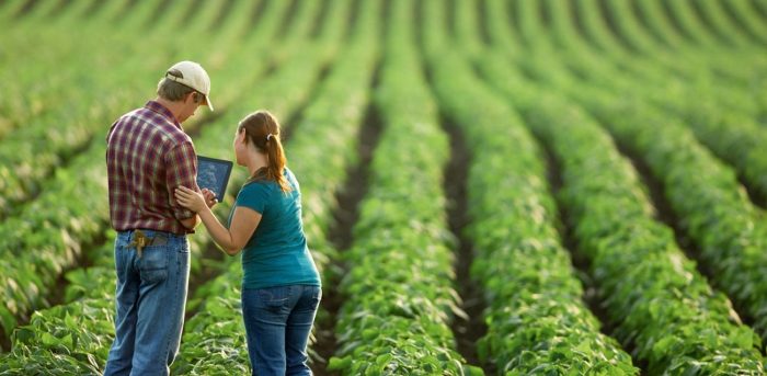 Agricultura are nevoie de tineri. Cum sunt atrași