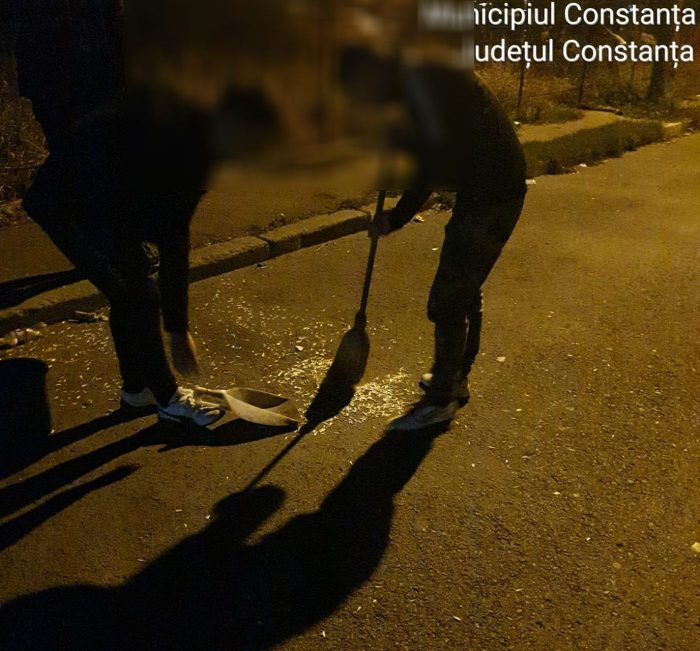 Poliția Locală amendează spărgătorii de semințe și crescătorii de păsări