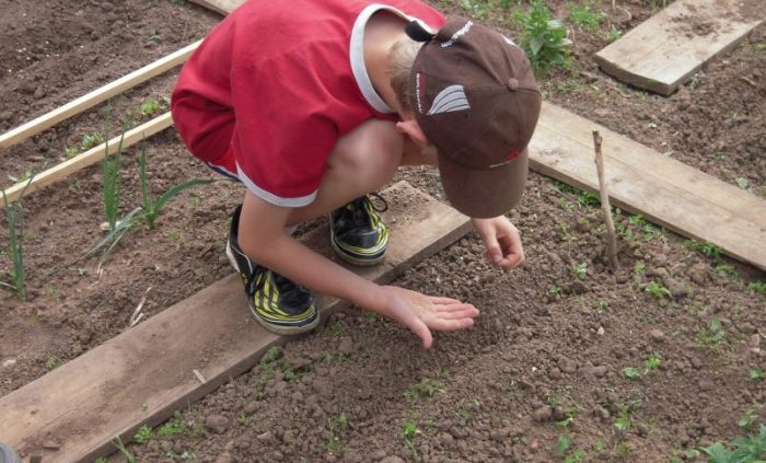 Manual de educație agricolă pentru elevi creat de Uniunea Europeană