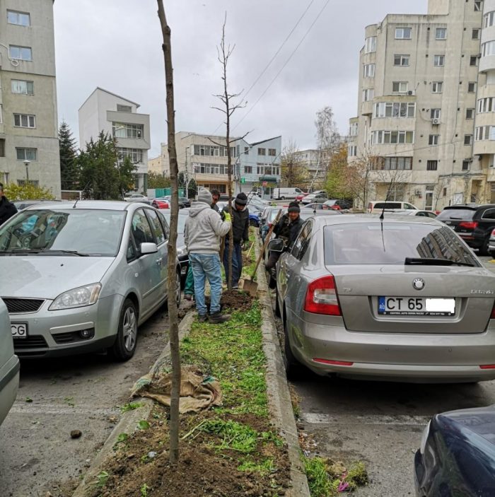 VIDEO Se plantează circa 400 de arbori în Constanța