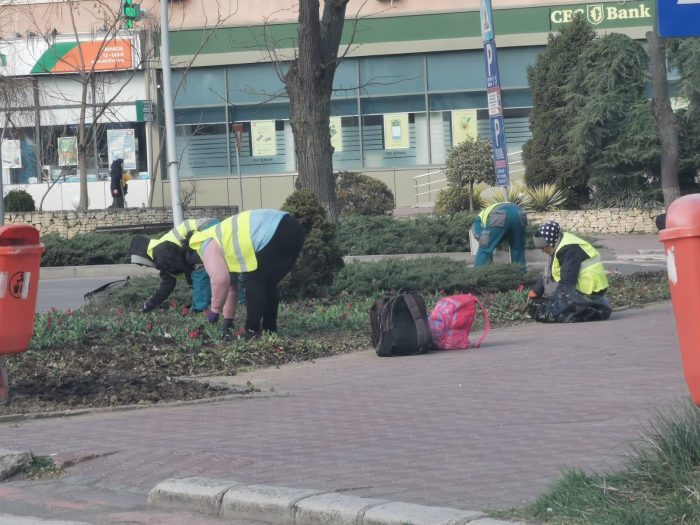 Flori în plină epidemie, în Tulcea