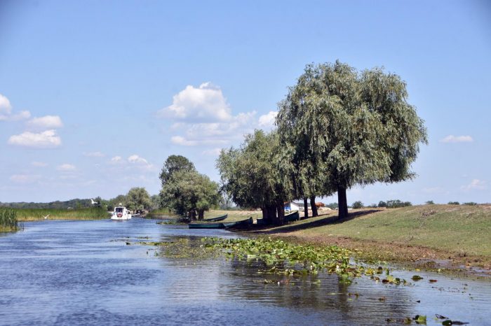 Cât de mult se braconează în Delta Dunării?