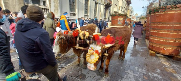 Boboteaza 2021 în imagini