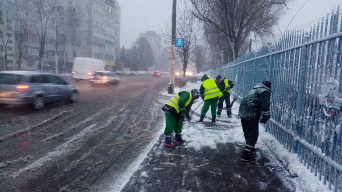 Iarnă în Constanța. Copaci smulși din rădăcină. Polaris a intervenit toată noaptea. Cum va fi vremea FOTO