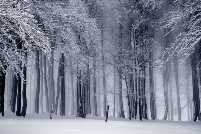 Vreme din ce în ce mai rece, sunt așteptate primele zăpezi