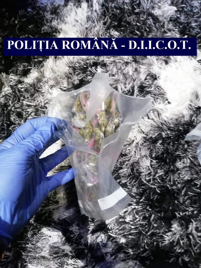 Percheziții la vânzători de cannabis