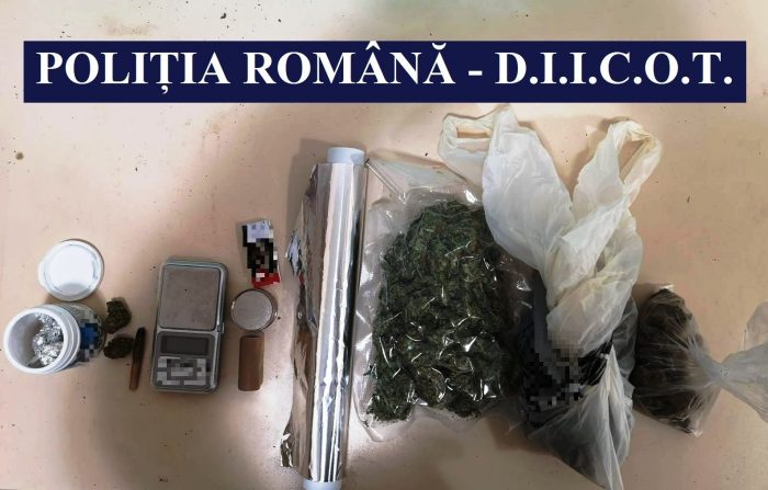 VIDEO Traficanți de cannabis băgați după gratii