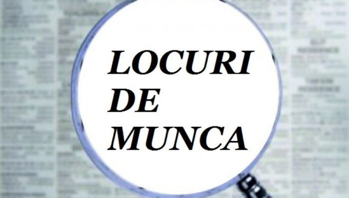 Vreți să vă angajați la stat? Iată ce posturi sunt disponibile