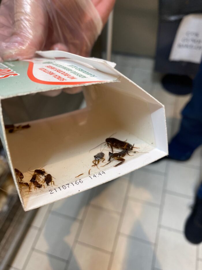 Insecte moarte, praf, mucegai în vitrinele frigorifice din zona food de la IKEA