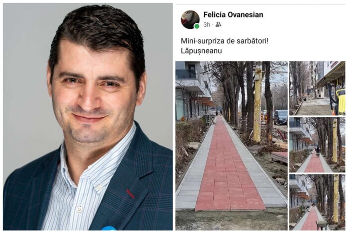 Felicia Ovanesian se laudă cu proiectul lui Decebal Făgădău, iar USR o taxează