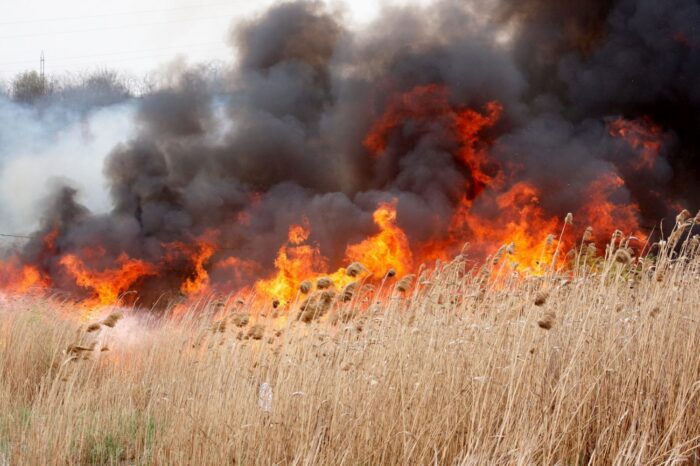 Pompierii au intervenit, în 24 de ore, pentru stingerea a zece incendii de vegetație uscată care au afectat 76,2 hectare de teren