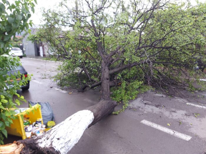 Cinci atenționări și avertizări meteo în Constanța: 27 copaci rupți, 14 mașini avariate