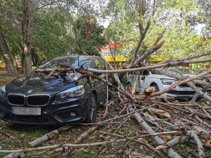 Vântul face ravagii în Constanța. Copaci doborâți, mașini distruse, acoperișuri smulse