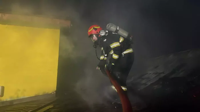 Polițiștii cercetează un incendiu din Valu lui Traian în urma căruia au murit 22 de câini