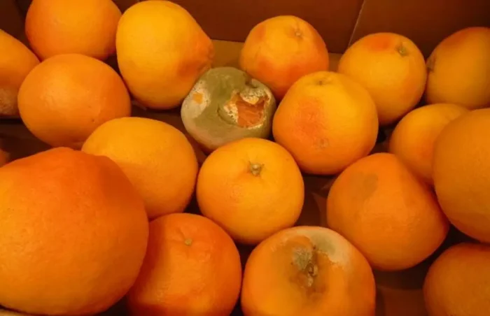 Alertă în supermarketuri: peste 400 de tone de fructe și legume neconforme retrase de ANPC într-o amplă operațiune națională